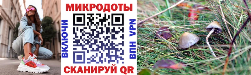 Купить закладки  Елизово  Псилоцибиновые грибы Magic Shrooms 