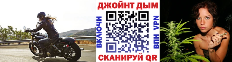 Купить закладки  Елизово  Бошки марихуана сатива 